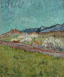 Vista de los Alpilles